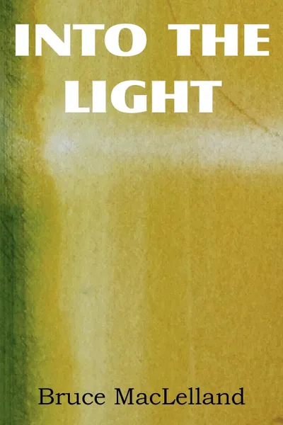 Обложка книги Into The Light, Bruce MacLelland