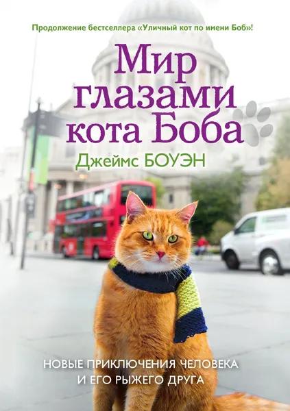 Обложка книги Мир глазами кота Боба, Джеймс Боуэн