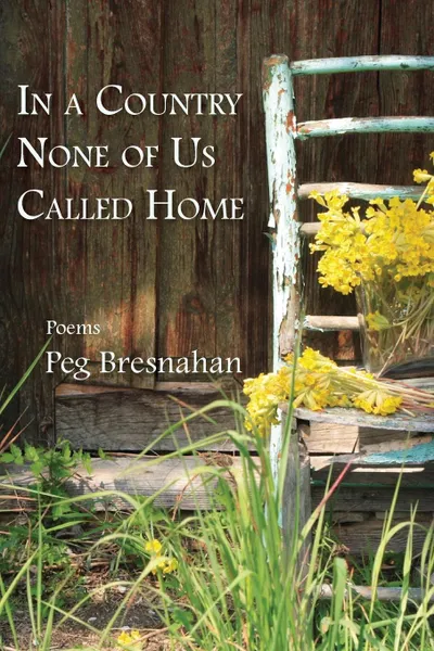 Обложка книги In a Country None of Us Called Home, Peg Bresnahan