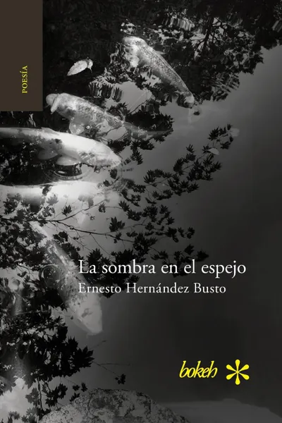 Обложка книги La sombra en el espejo. Versiones japonesas, Ernesto Hernández Busto