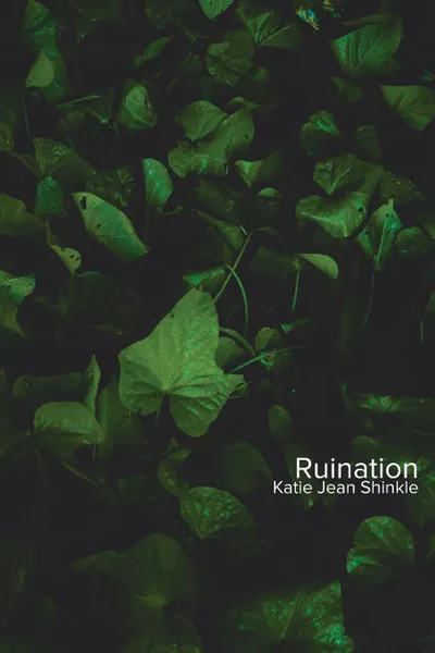 Обложка книги Ruination, Katie Jean Shinkle