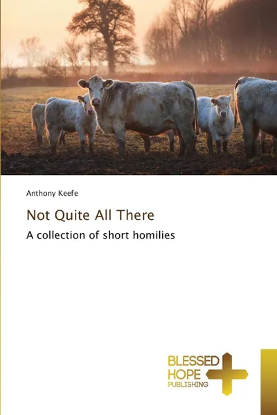 Обложка книги Not Quite All There, Keefe Anthony