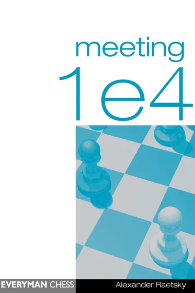 Обложка книги Meeting 1e4, Alex Raetsky