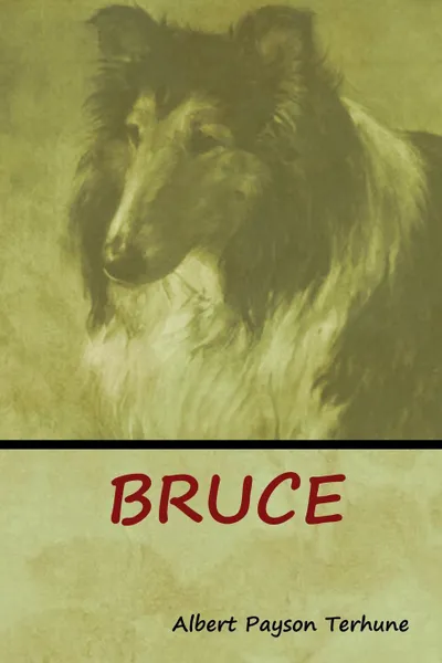 Обложка книги Bruce, Albert Payson Terhune