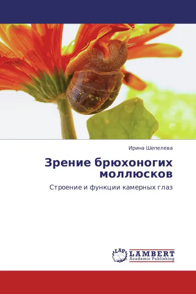 Обложка книги Зрение брюхоногих моллюсков, Ирина Шепелева
