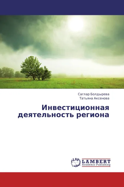 Обложка книги Инвестиционная деятельность региона, Саглар Болдырева, Татьяна Аксенова