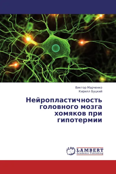 Обложка книги Нейропластичность головного мозга хомяков при гипотермии, Виктор Марченко, Кирилл Буцкий