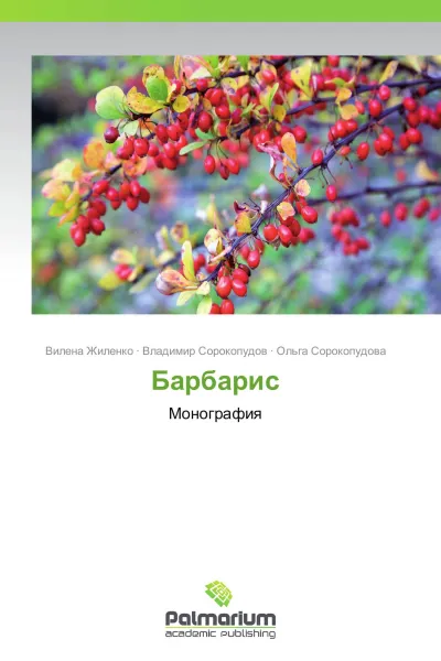 Обложка книги Барбарис, Вилена Жиленко,Владимир Сорокопудов, Ольга Сорокопудова