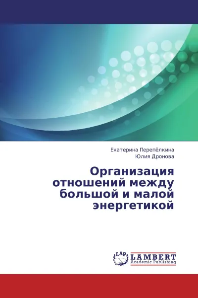 Обложка книги Организация отношений между большой и малой энергетикой, Екатерина Перепёлкина, Юлия Дронова