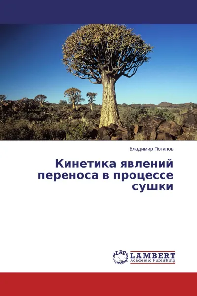 Обложка книги Кинетика явлений переноса в процессе сушки, Владимир Потапов