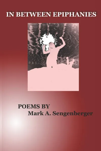 Обложка книги In Between Epiphanies, Mark A Sengenberger