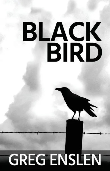 Обложка книги Black Bird, Greg Enslen