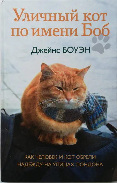 Обложка книги Уличный кот по имени Боб. Как человек и кот обрели надежду на улицах Лондона, Боуэн Джеймс, Дженкинс Гарри