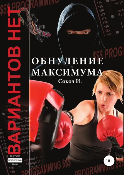 Обложка книги Обнуление максимума, И. Сокол