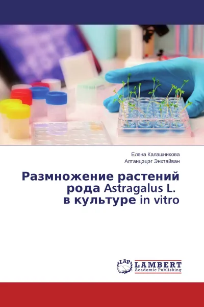 Обложка книги Размножение растений рода Astragalus L. в культуре in vitro, Елена Калашникова, Алтанцэцэг Энхтайван