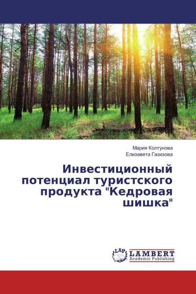 Обложка книги Инвестиционный потенциал туристского продукта 