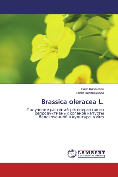 Обложка книги Brassica oleracea L., Рима Киракосян, Елена Калашникова