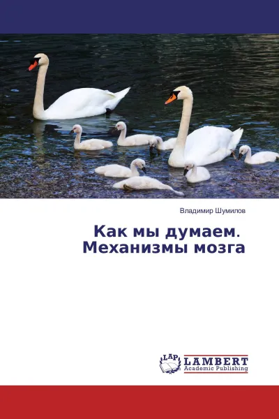 Обложка книги Как мы думаем. Механизмы мозга, Владимир Шумилов