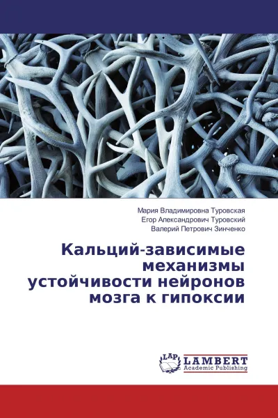 Обложка книги Кальций-зависимые механизмы устойчивости нейронов мозга к гипоксии, Мария Владимировна Туровская,Егор Александрович Туровский, Валерий Петрович Зинченко