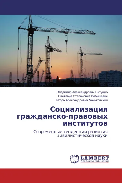 Обложка книги Социализация гражданско-правовых институтов, Владимир Александрович Витушко,Светлана Степановна Вабищевич, Игорь Александрович Маньковский