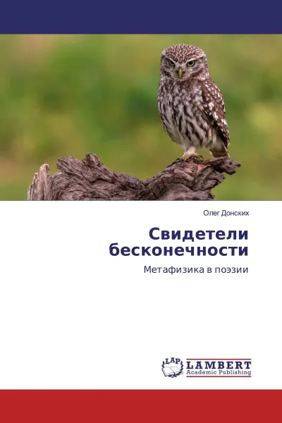 Обложка книги Свидетели бесконечности, Олег Донских