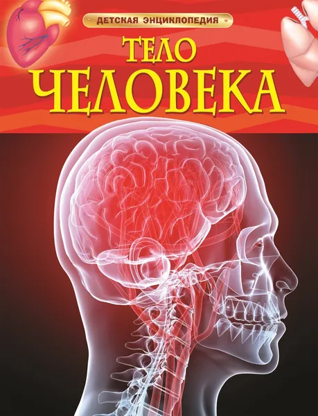 Обложка книги Тело человека. Детская энциклопедия, Миранда Смит