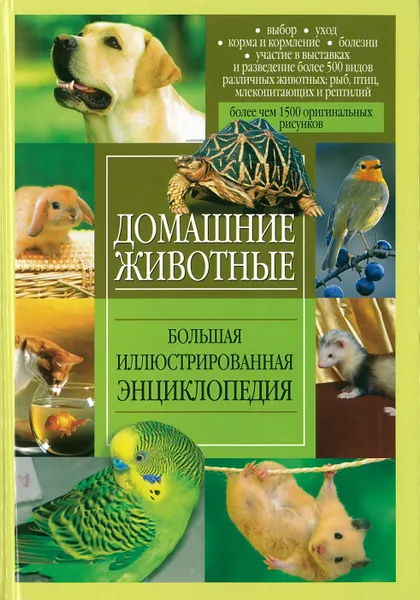 Обложка книги Домашние животные, Чибисова О.И.