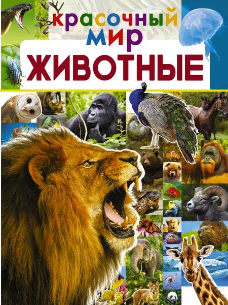 Обложка книги Животные, Л. Д. Вайткене, М. Д. Филиппова