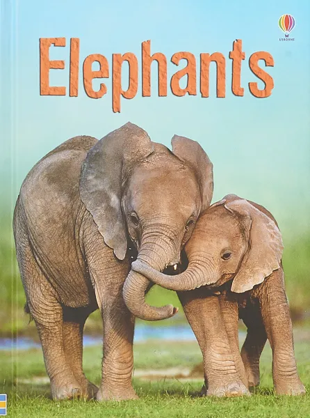 Обложка книги ELEPHANTS, Maclaine James