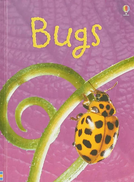 Обложка книги Bugs, Lucy Bowman