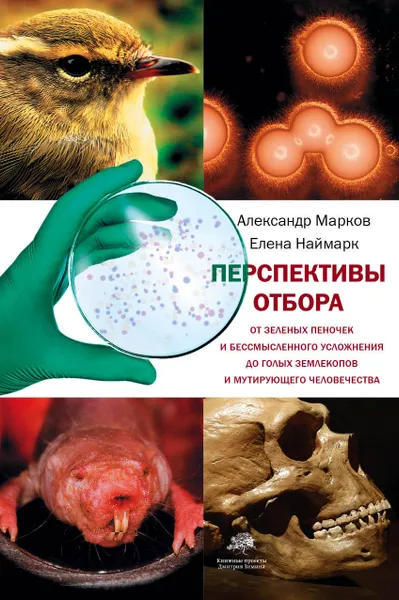 Обложка книги Перспективы отбора, Марков Александр Владимирович