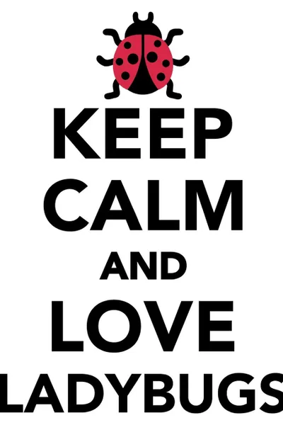 Обложка книги Keep Calm Love Ladybugs Workbook of Affirmations Keep Calm Love Ladybugs Workbook of Affirmations. Bullet Journal, Food Diary, Recipe Notebook, Planner, To Do List, Scrapbook, Academic Notepad, Alan Haynes