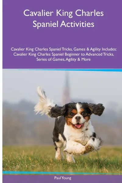 Обложка книги Cavalier King Charles Spaniel  Activities Cavalier King Charles Spaniel Tricks, Games & Agility. Includes. Cavalier King Charles Spaniel Beginner to Advanced Tricks, Series of Games, Agility and More, Paul Young