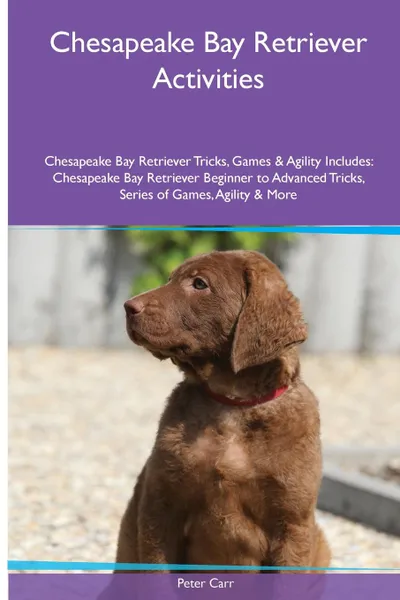 Обложка книги Chesapeake Bay Retriever  Activities Chesapeake Bay Retriever Tricks, Games & Agility. Includes. Chesapeake Bay Retriever Beginner to Advanced Tricks, Series of Games, Agility and More, Peter Carr