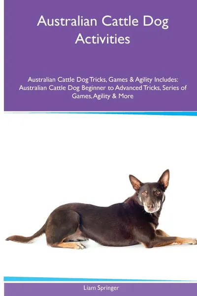 Обложка книги Australian Cattle Dog  Activities Australian Cattle Dog Tricks, Games & Agility. Includes. Australian Cattle Dog Beginner to Advanced Tricks, Series of Games, Agility and More, Liam Springer