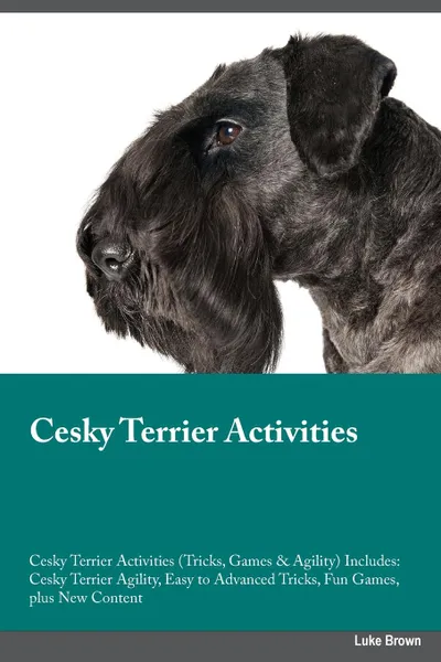 Обложка книги Cesky Terrier Activities Cesky Terrier Activities (Tricks, Games & Agility) Includes. Cesky Terrier Agility, Easy to Advanced Tricks, Fun Games, plus New Content, Thomas Campbell