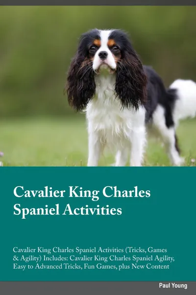 Обложка книги Cavalier King Charles Spaniel Activities Cavalier King Charles Spaniel Activities (Tricks, Games & Agility) Includes. Cavalier King Charles Spaniel Agility, Easy to Advanced Tricks, Fun Games, plus New Content, Peter Carr