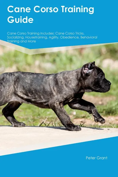 Обложка книги Cane Corso Training Guide Cane Corso Training Includes. Cane Corso Tricks, Socializing, Housetraining, Agility, Obedience, Behavioral Training and More, William Sanderson