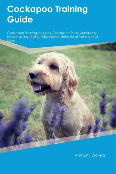 Обложка книги Cockapoo Training Guide Cockapoo Training Includes. Cockapoo Tricks, Socializing, Housetraining, Agility, Obedience, Behavioral Training and More, Sam King