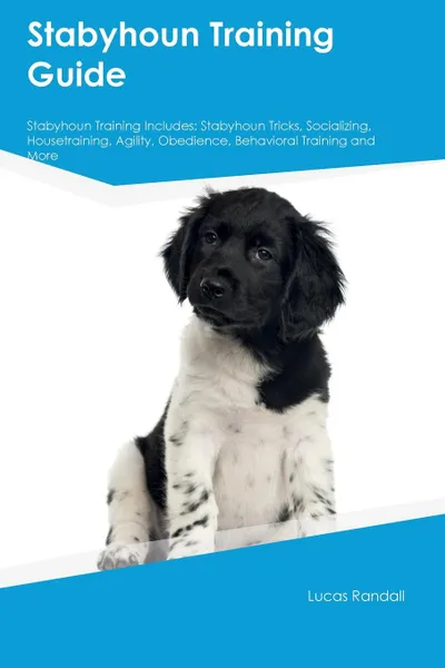 Обложка книги Stabyhoun Training Guide Stabyhoun Training Includes. Stabyhoun Tricks, Socializing, Housetraining, Agility, Obedience, Behavioral Training and More, Jonathan Chapman