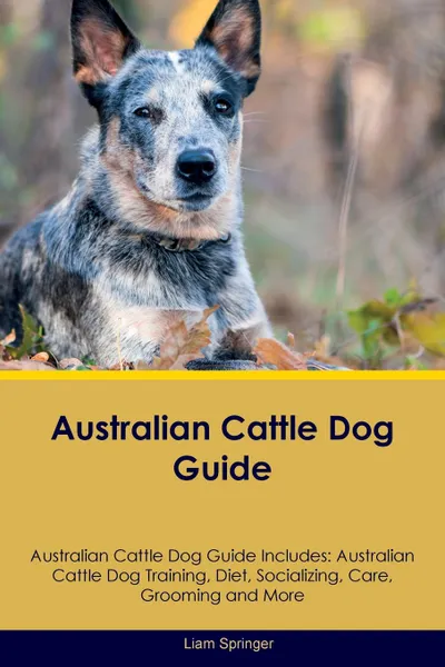 Обложка книги Australian Cattle Dog Guide Australian Cattle Dog Guide Includes. Australian Cattle Dog Training, Diet, Socializing, Care, Grooming, Breeding and More, Liam Springer