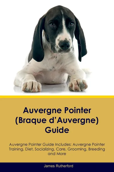 Обложка книги Auvergne Pointer (Braque d'Auvergne) Guide Auvergne Pointer Guide Includes. Auvergne Pointer Training, Diet, Socializing, Care, Grooming, Breeding and More, James Rutherford