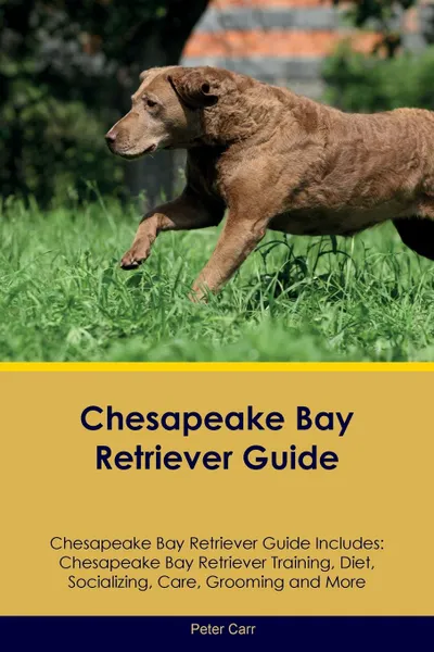 Обложка книги Chesapeake Bay Retriever Guide Chesapeake Bay Retriever Guide Includes. Chesapeake Bay Retriever Training, Diet, Socializing, Care, Grooming, Breeding and More, Peter Carr