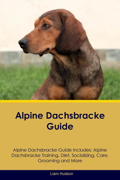 Обложка книги Alpine Dachsbracke Guide Alpine Dachsbracke Guide Includes. Alpine Dachsbracke Training, Diet, Socializing, Care, Grooming, Breeding and More, Liam Hudson