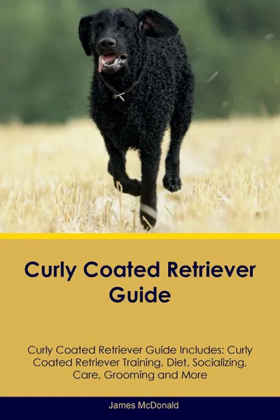 Обложка книги Curly Coated Retriever Guide Curly Coated Retriever Guide Includes. Curly Coated Retriever Training, Diet, Socializing, Care, Grooming, Breeding and More, James McDonald