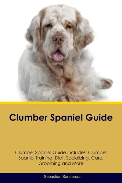 Обложка книги Clumber Spaniel Guide Clumber Spaniel Guide Includes. Clumber Spaniel Training, Diet, Socializing, Care, Grooming, Breeding and More, Sebastian Sanderson