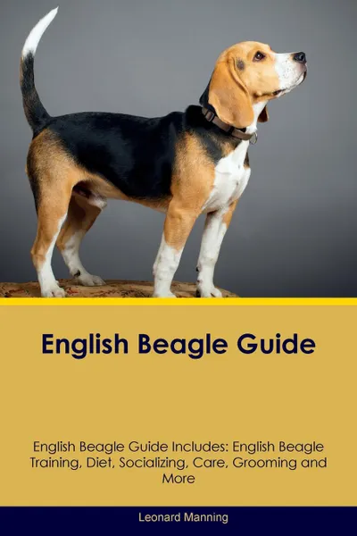 Обложка книги English Beagle Guide English Beagle Guide Includes. English Beagle Training, Diet, Socializing, Care, Grooming, Breeding and More, Leonard Manning