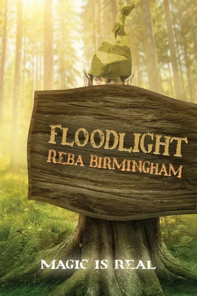 Обложка книги Floodlight. Book One in the Hercynian Forest Series, Reba Birmingham