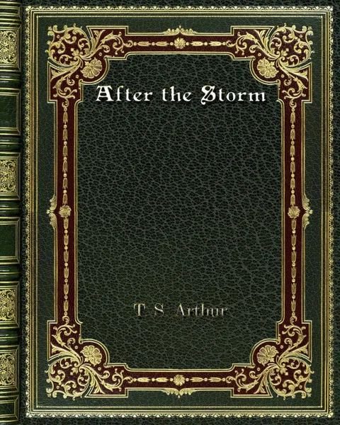 Обложка книги After the Storm, T. S. Arthur