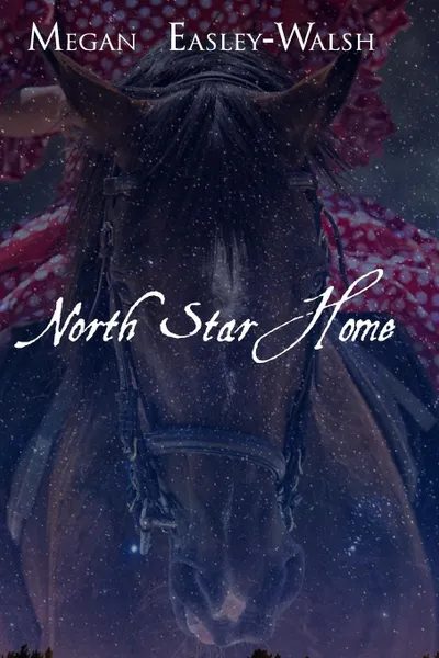 Обложка книги North Star Home, Megan Easley-Walsh